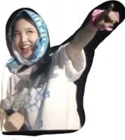 «TWICE MEMES» sticker set