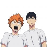 «Haikyuu!!» sticker set