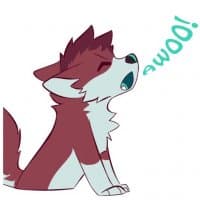 «Koya» sticker set