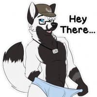 «Foxer NSFW» sticker set