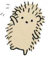 «Sasbalas» sticker set
