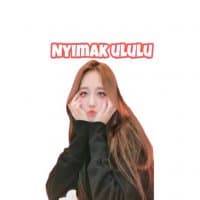 «zoo» sticker set