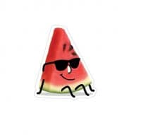 «watermelon» sticker set