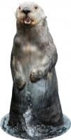 «Otters Gotta Ott 3» sticker set