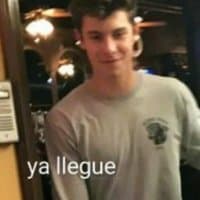 «Shawn Mendes» sticker set