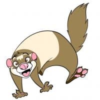 «DookDookFerrets» sticker set