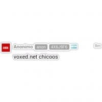 «Voxed» sticker set