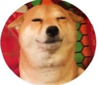 «Shiba» sticker set
