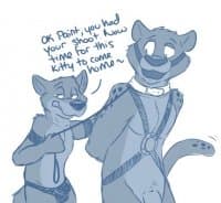 «Furry fun» sticker set