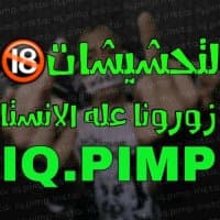 «IQ.PIMP» sticker set