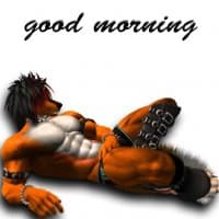 «Furry hot Studs» sticker set