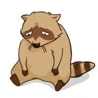 «newraccoon» sticker set