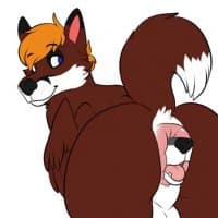 «Kyle.Foxson» sticker set