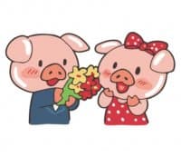 «Lovely Pig @tikelku» sticker set