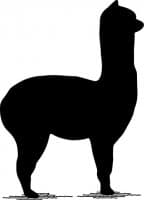 «Alpaca» sticker set