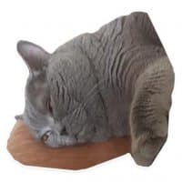 «SufferingCats» sticker set
