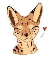 «Aiza» sticker set