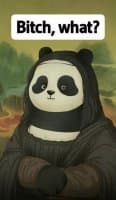 «Panda’s Expressions» sticker set