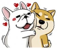 «DOCA II» sticker set