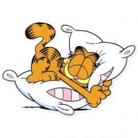 «Garfield @ucatua» sticker set