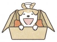 «Shiba-puppy!» sticker set