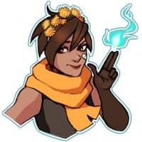 «Paladins» sticker set