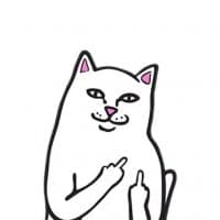 «ripndip» sticker set