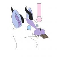 «Stockings» sticker set