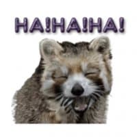 «Naughty Raccoon (FULL) [English] @Woshizharbor» sticker set