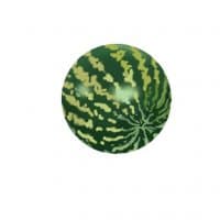 «Memo Fresh Fruit 1» sticker set