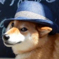 «Doggos» sticker set