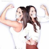 «We are the bella twins» sticker set