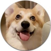 «Corgi» sticker set