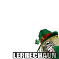 «Leprechaun» sticker set