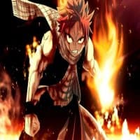 «Natsu» sticker set
