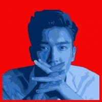 «siwon» sticker set