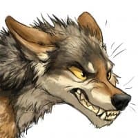 «ketcoyotes» sticker set