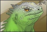 «DragonNextDoor» sticker set