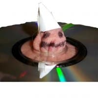 «nuts through a cd with a white hat» sticker set