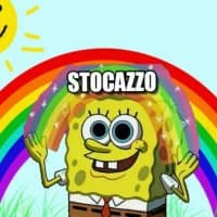 «Stocazzo» sticker set