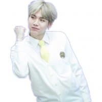«BTS» sticker set