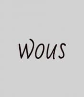 «NSP» sticker set