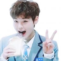 «jihoon» sticker set
