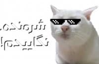 «Thug Cat 2» sticker set