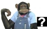«le monke faec xP» sticker set
