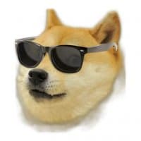 «doge» sticker set