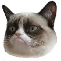 «GrumpyCat» sticker set