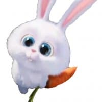 «Rabbit» sticker set