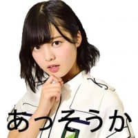 «keyakizaka46» sticker set