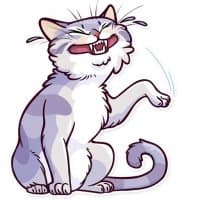 «Meme Cats» sticker set